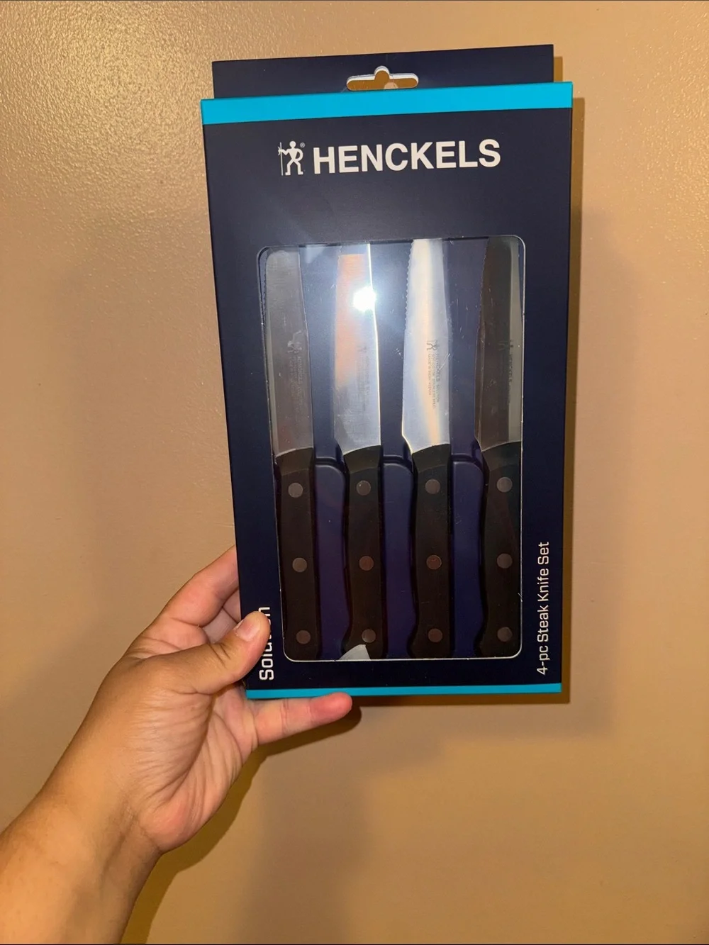 4-Piece Black Handle Steak Knife Set - Black